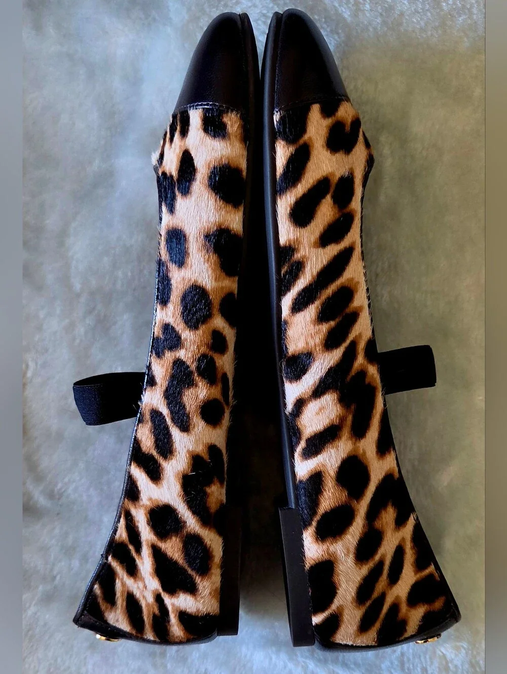 Tory Burch Leopard-Print Ballet Flats with Black Cap Toe